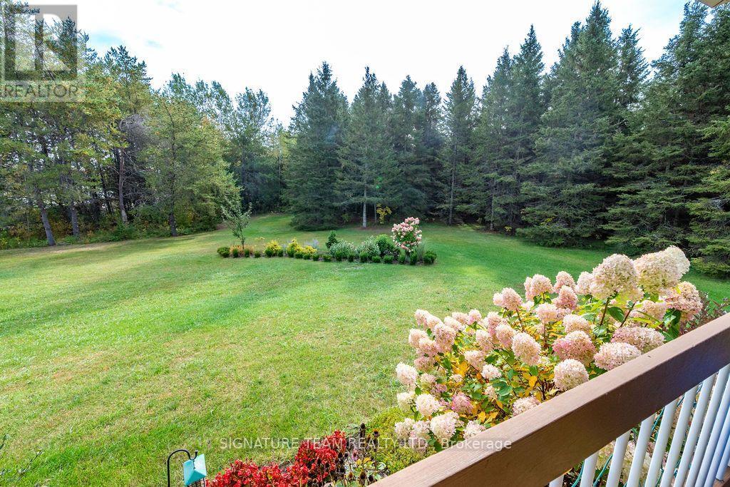 368 Dombroskie Road, Whitewater Region, Ontario K0J 1Y0 - Photo 46 - X13851648