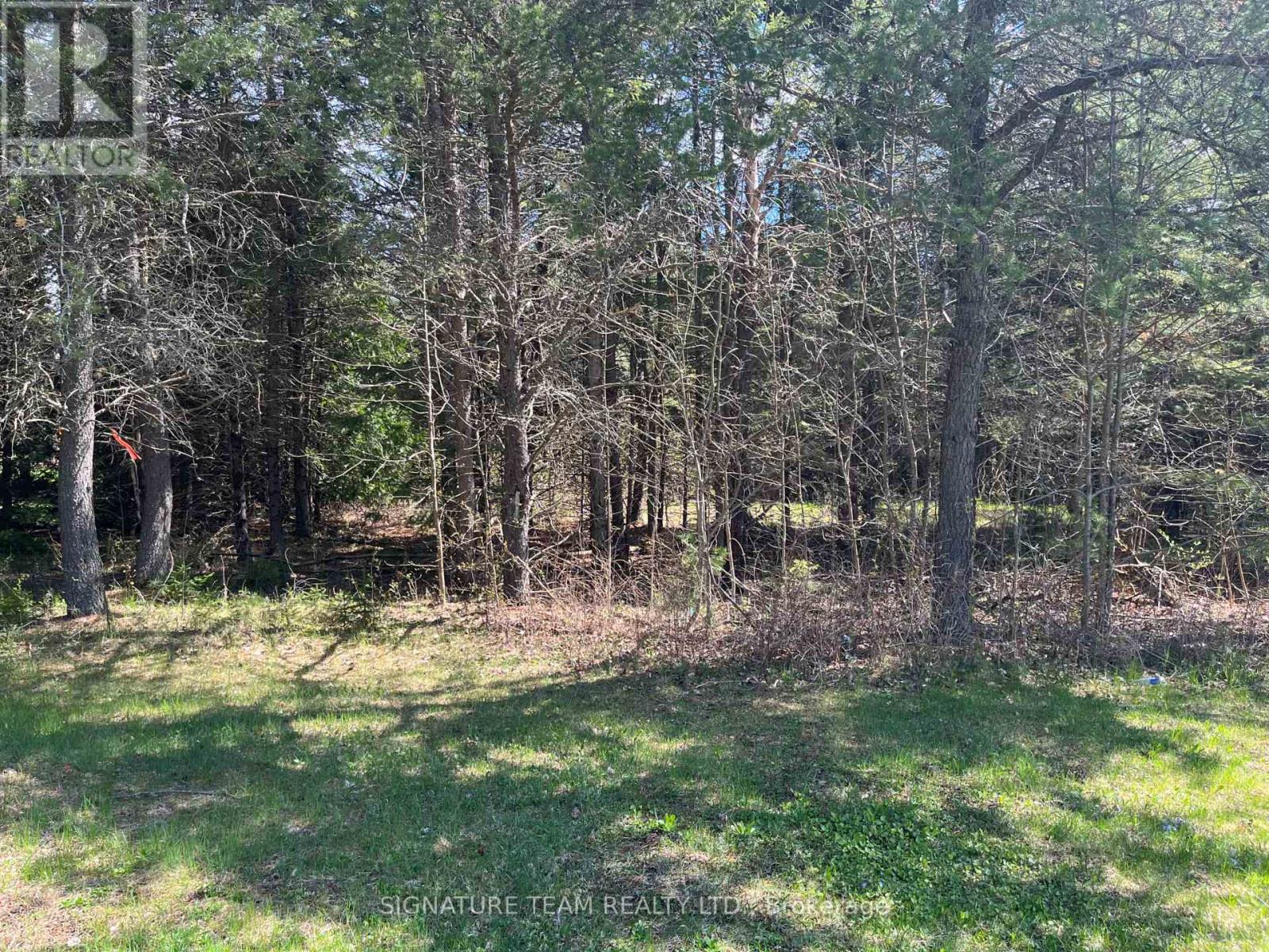 0 Dombroskie Road, Whitewater Region, Ontario  K0J 1Y0 - Photo 12 - X13851700