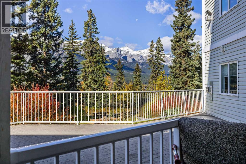 106, 1080c Cougar Creek Drive
