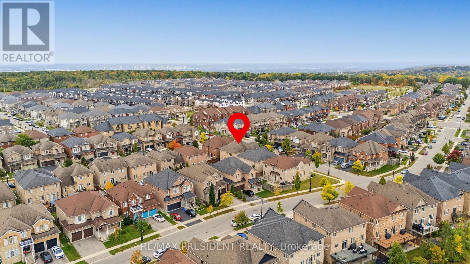 17 Mccartney Street, Hamilton, Ontario  L8B 0T7 - Photo 48 - X13850312