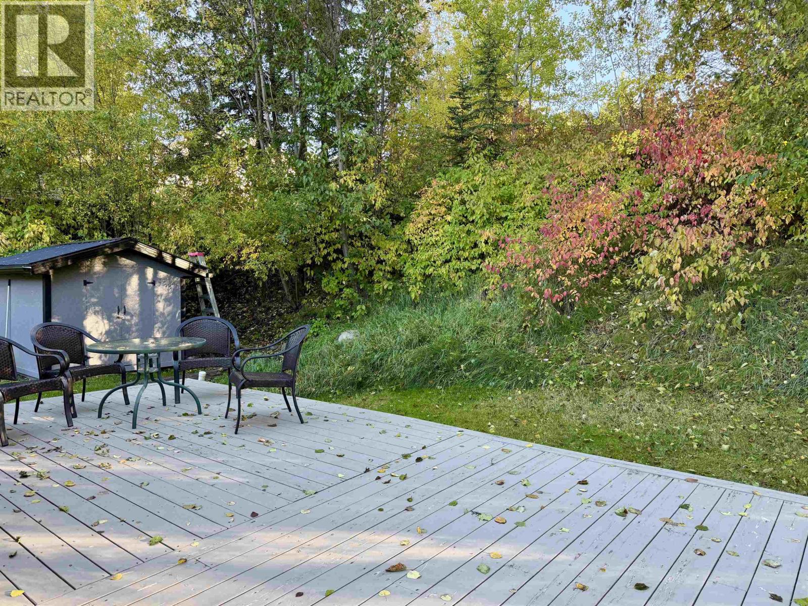358 W 5th Street, Vanderhoof, British Columbia  V0J 3A0 - Photo 9 - R3171472