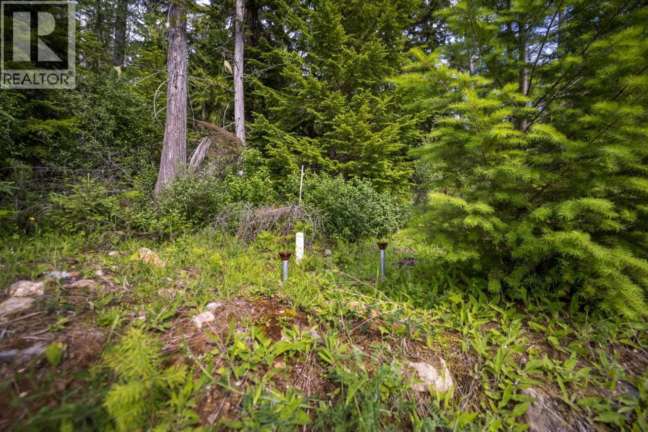 Lot 48 Crawford Creek Road, Crawford Bay, British Columbia  V0B 1E0 - Photo 6 - 10402482