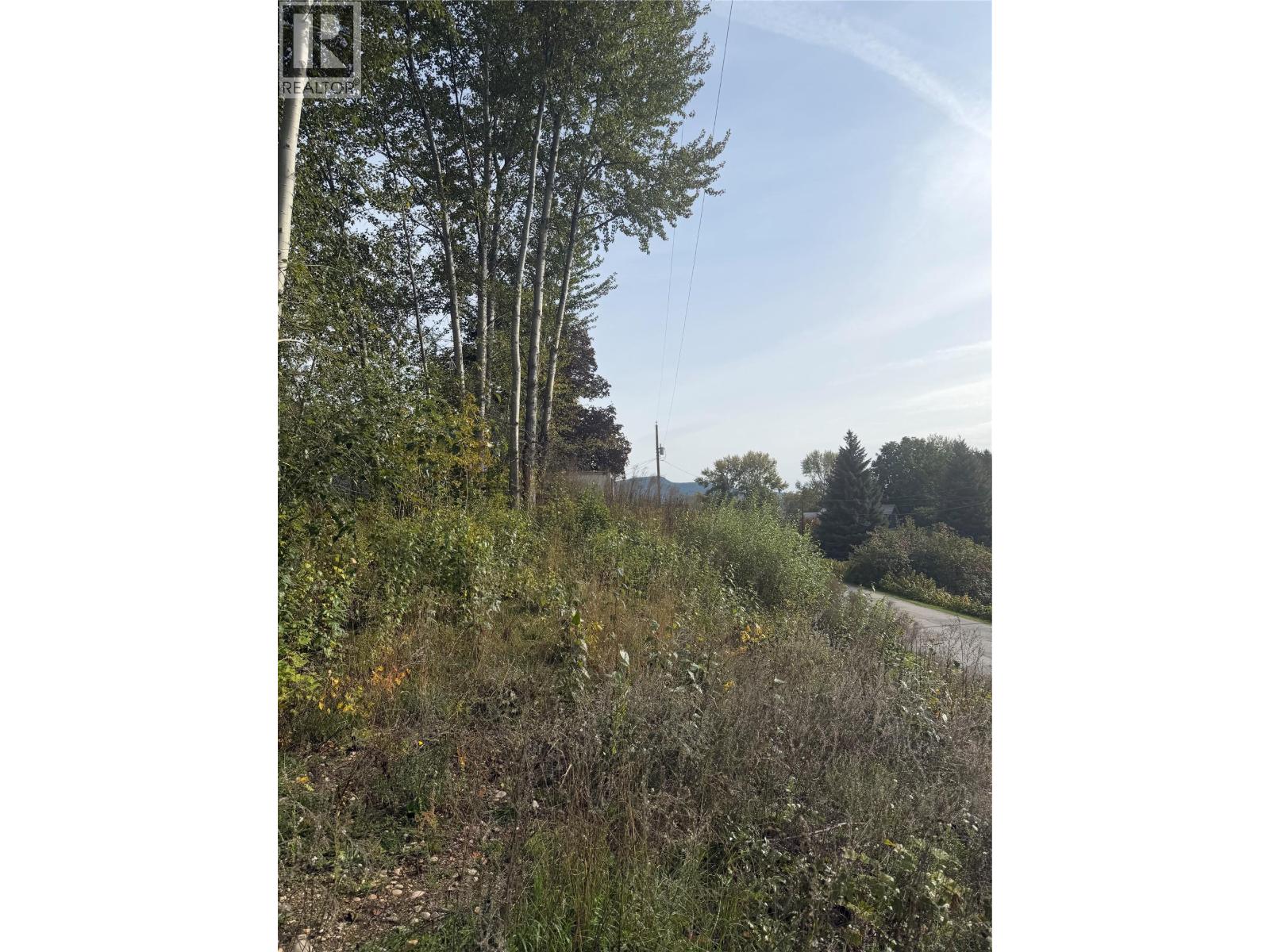 2073 Raspberry Road, Robson, British Columbia V0G 1X0 - Photo 18 - 10392074