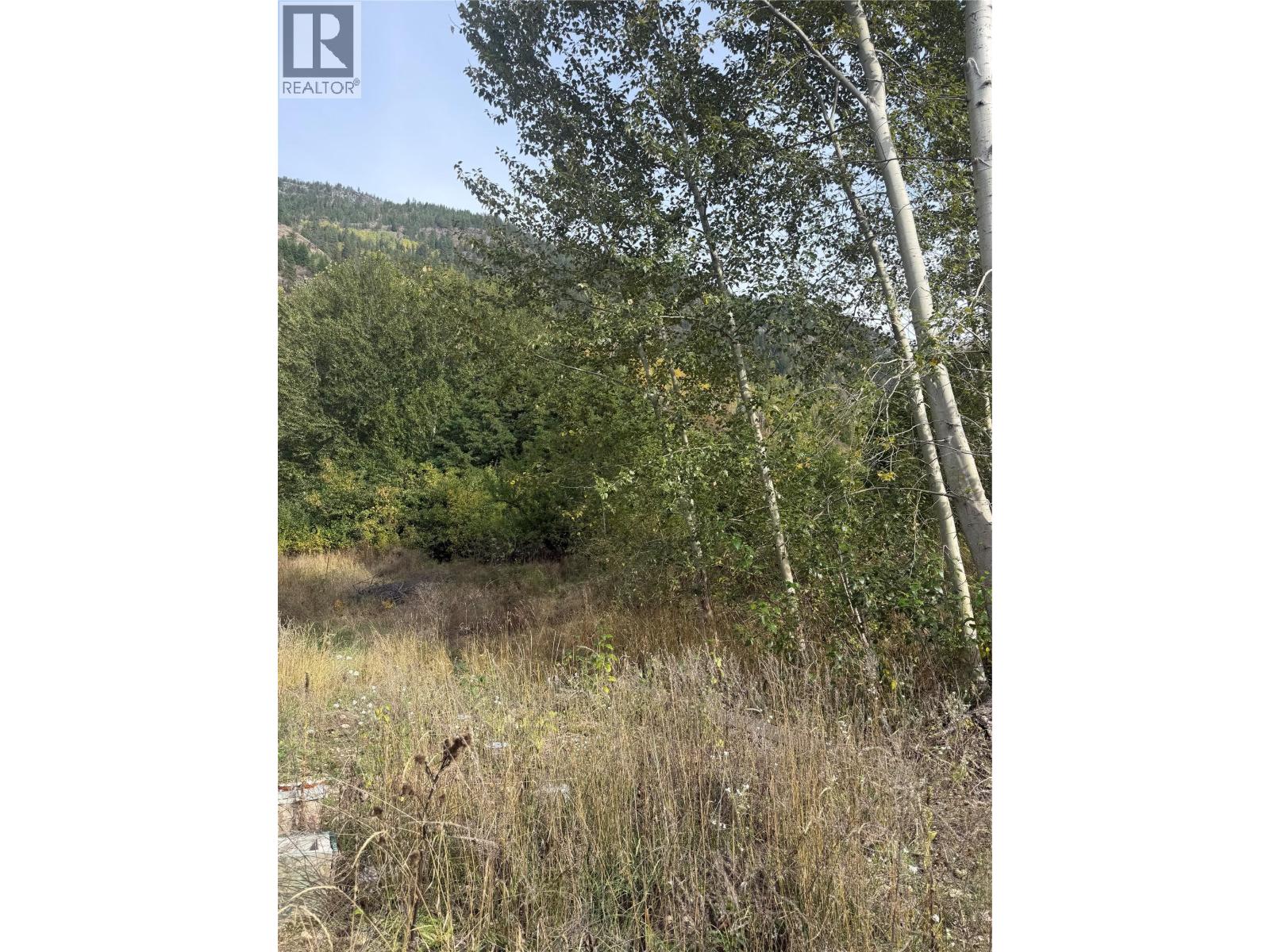 2073 Raspberry Road, Robson, British Columbia V0G 1X0 - Photo 17 - 10392074