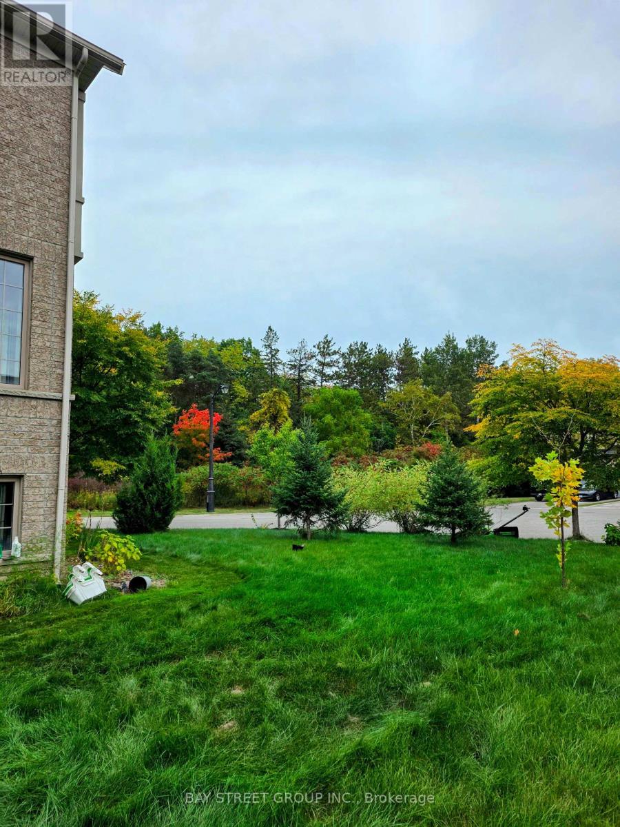 159 Riding Mountain Drive, Richmond Hill, Ontario  L4E 0T9 - Photo 34 - N13852438