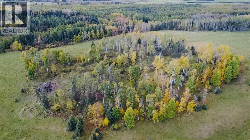 On Range Road 6-0, Rural Clearwater County, Alberta  T4T 2A1 - Photo 19 - A2348646
