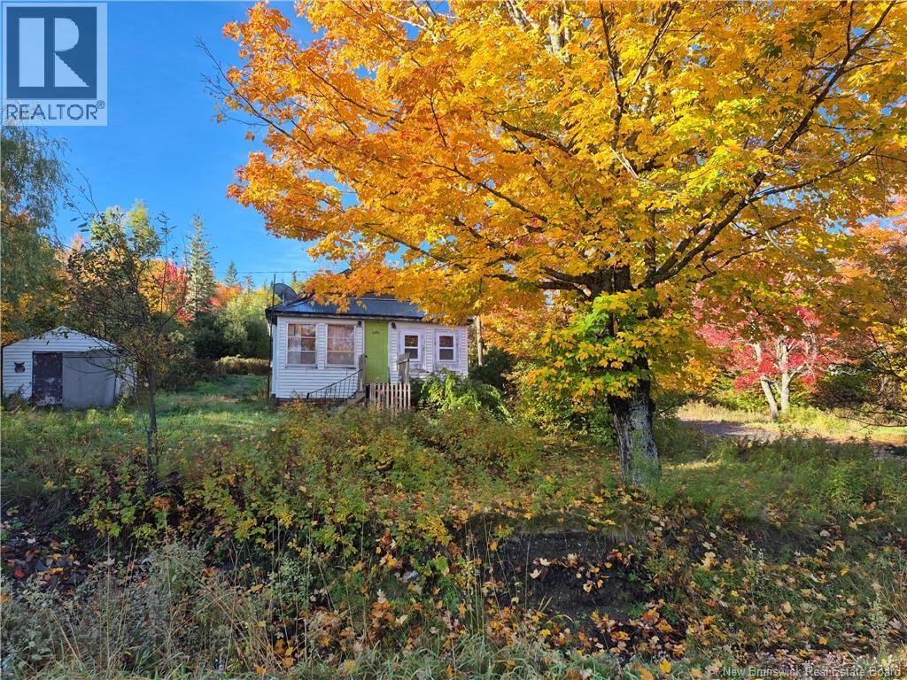 10 Second Avenue, Napadogan, New Brunswick  E6B 1Y3 - Photo 24 - NB148967