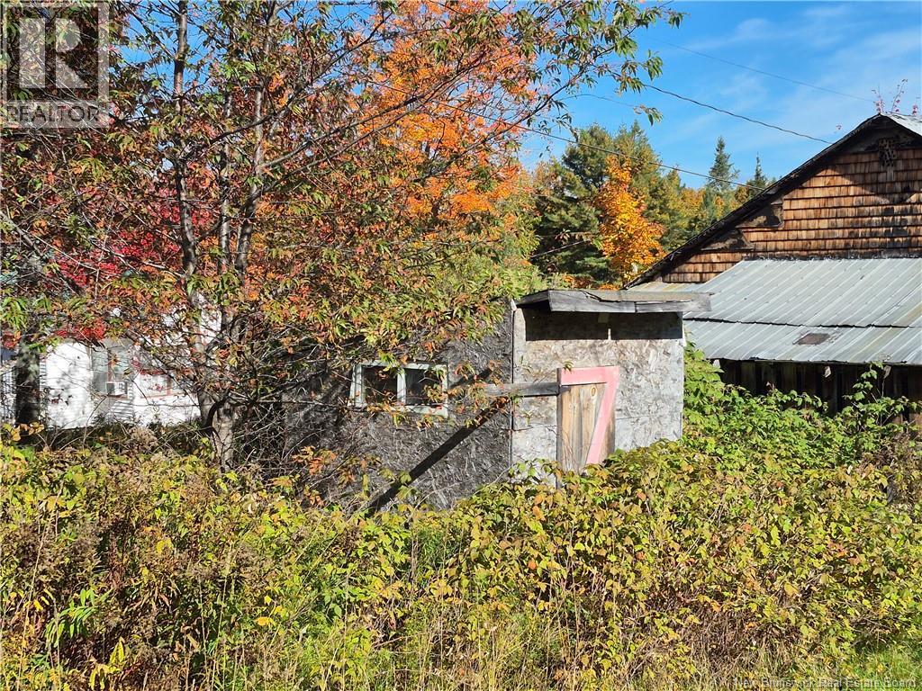 10 Second Avenue, Napadogan, New Brunswick  E6B 1Y3 - Photo 26 - NB148967