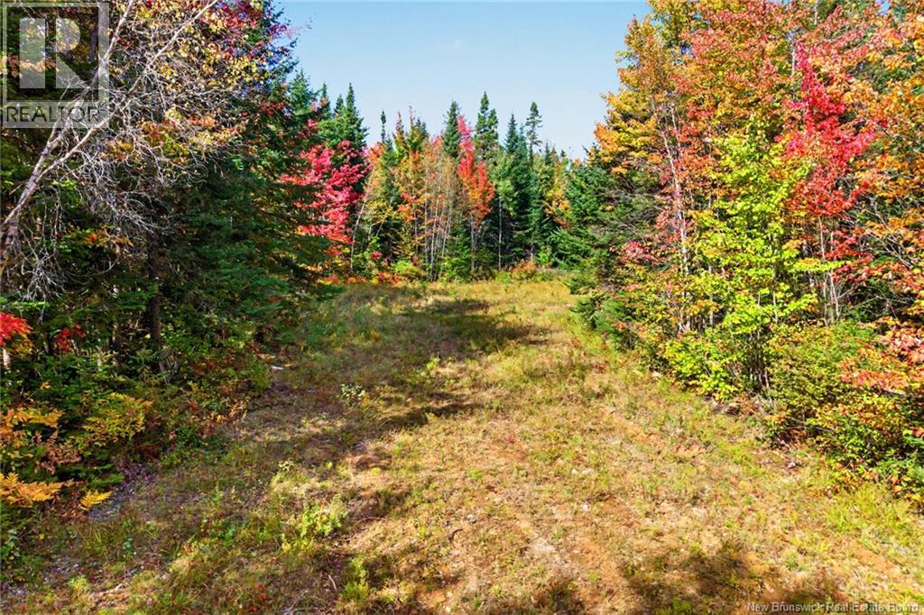 370 Midland Road, Midland, New Brunswick  E4A 1V5 - Photo 40 - NB148837