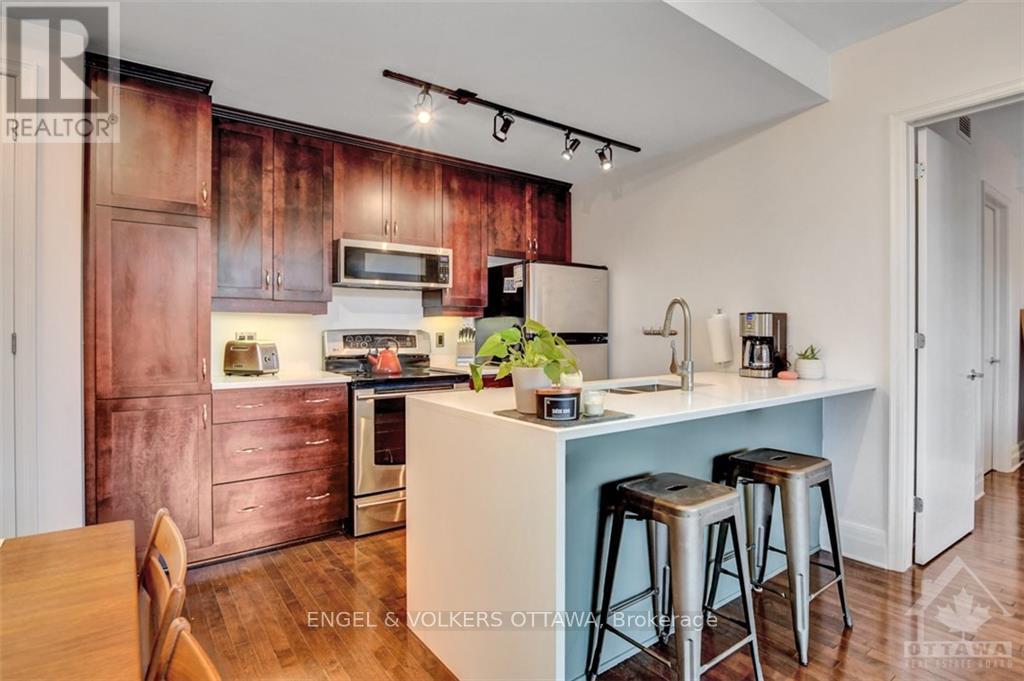 304 - 457 Mcleod Street, Ottawa, Ontario K1R 5P5 - Photo 6 - X13853376
