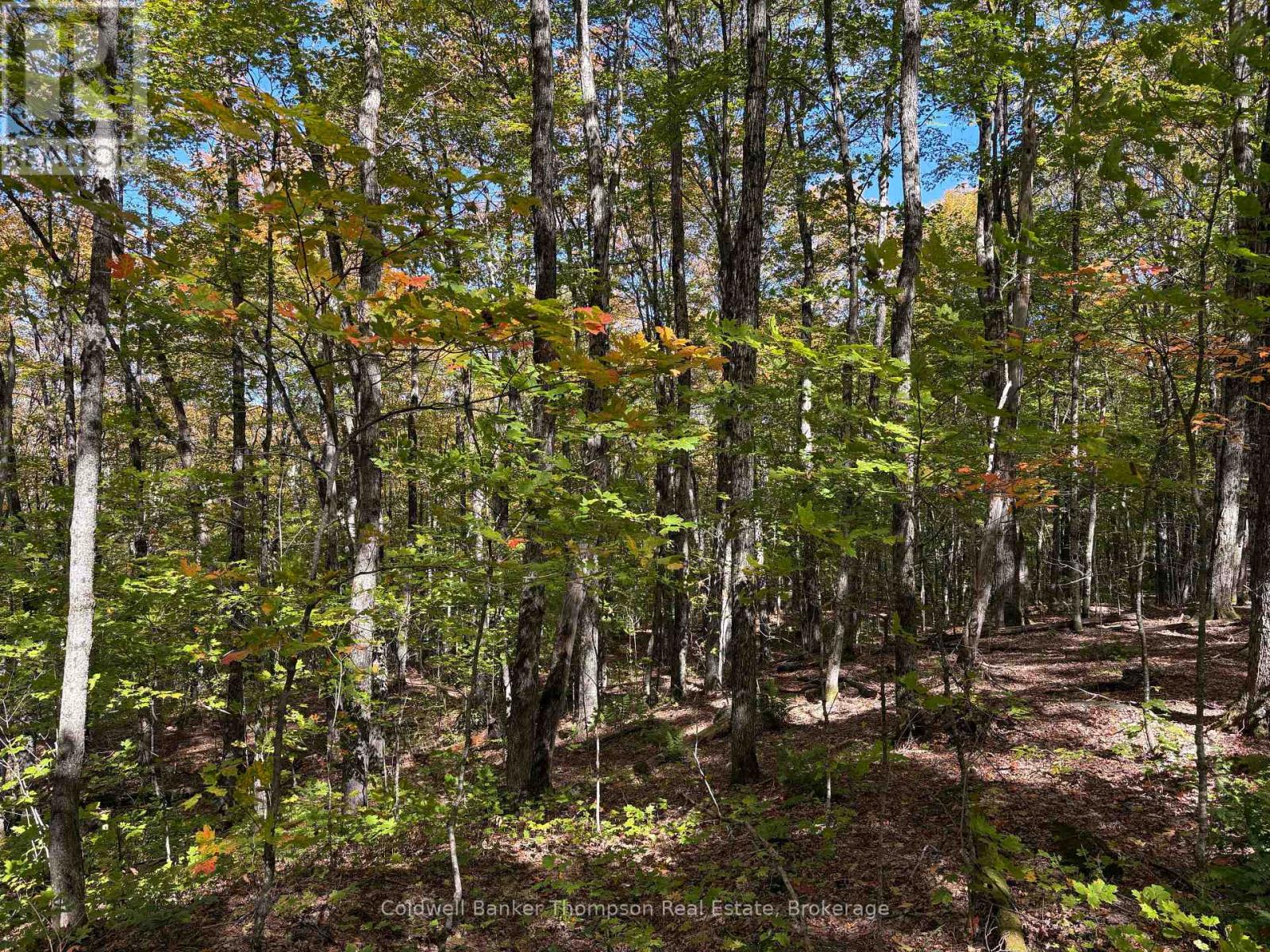 2519 South Horn Lake Road, Magnetawan, Ontario  P0A 1C0 - Photo 25 - X13852980