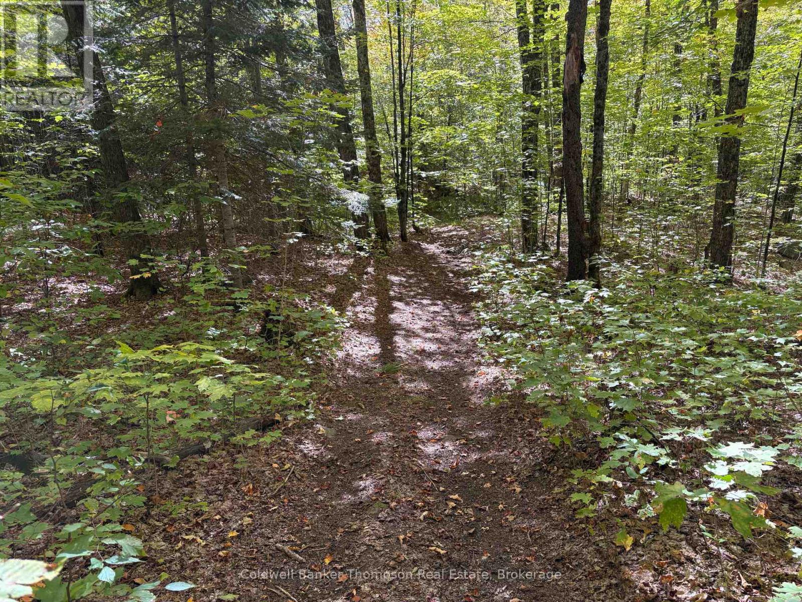 2519 South Horn Lake Road, Magnetawan, Ontario  P0A 1C0 - Photo 26 - X13852980