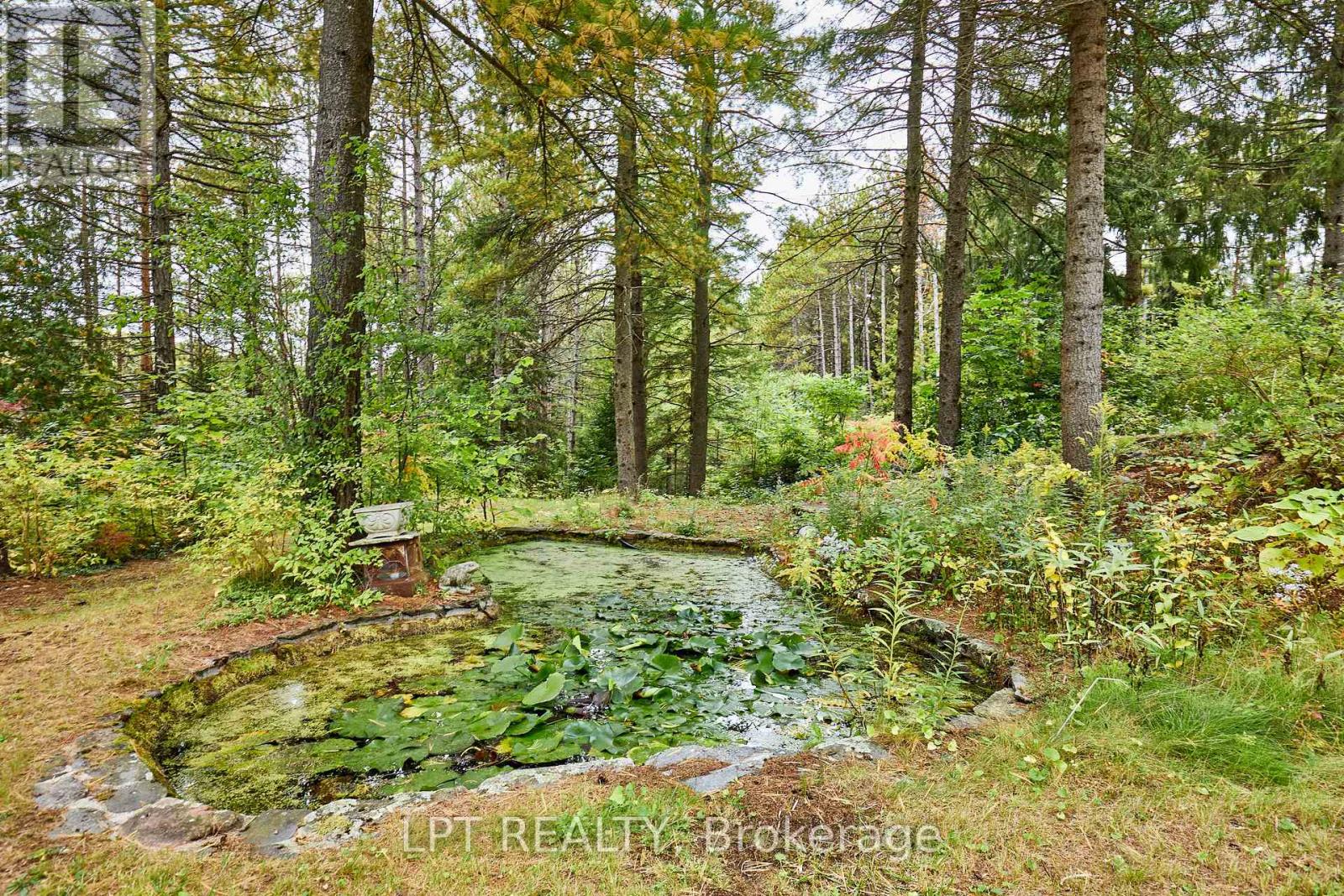 298 Wees Road, Uxbridge, Ontario  L0C 1A0 - Photo 47 - N13854188