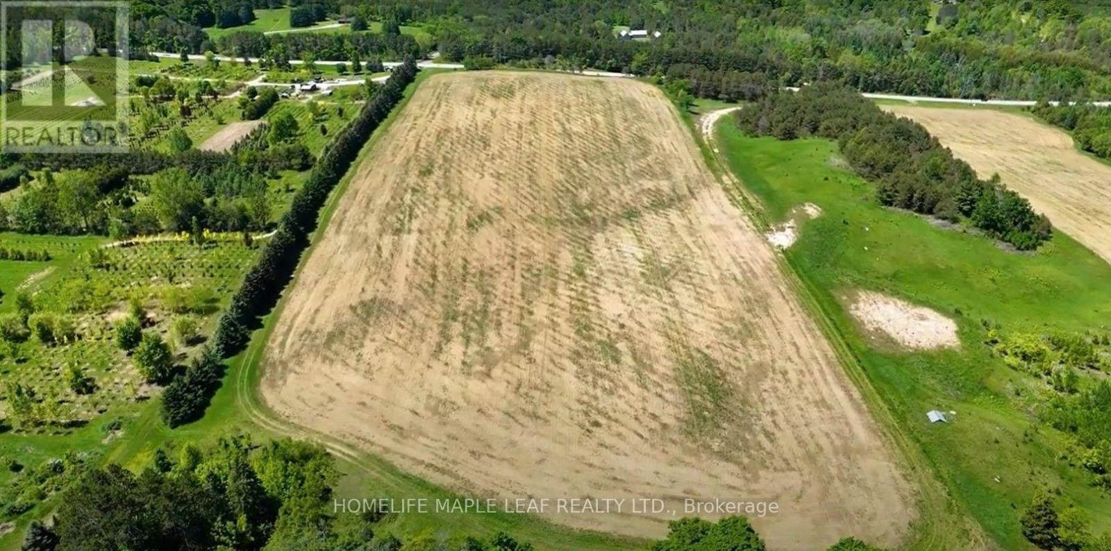 938433 And 938453 Airport Road, Mulmur, Ontario L0M 1K0 - Photo 4 - X13854330