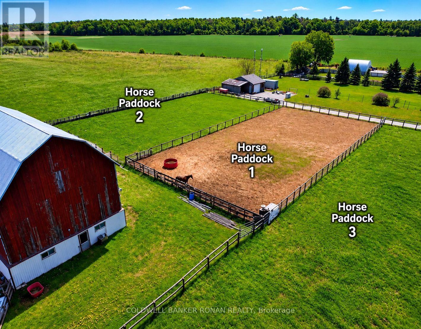 6703 Pine Plains Road E, Adjala-Tosorontio, Ontario  L0M 1J0 - Photo 1 - N13854476