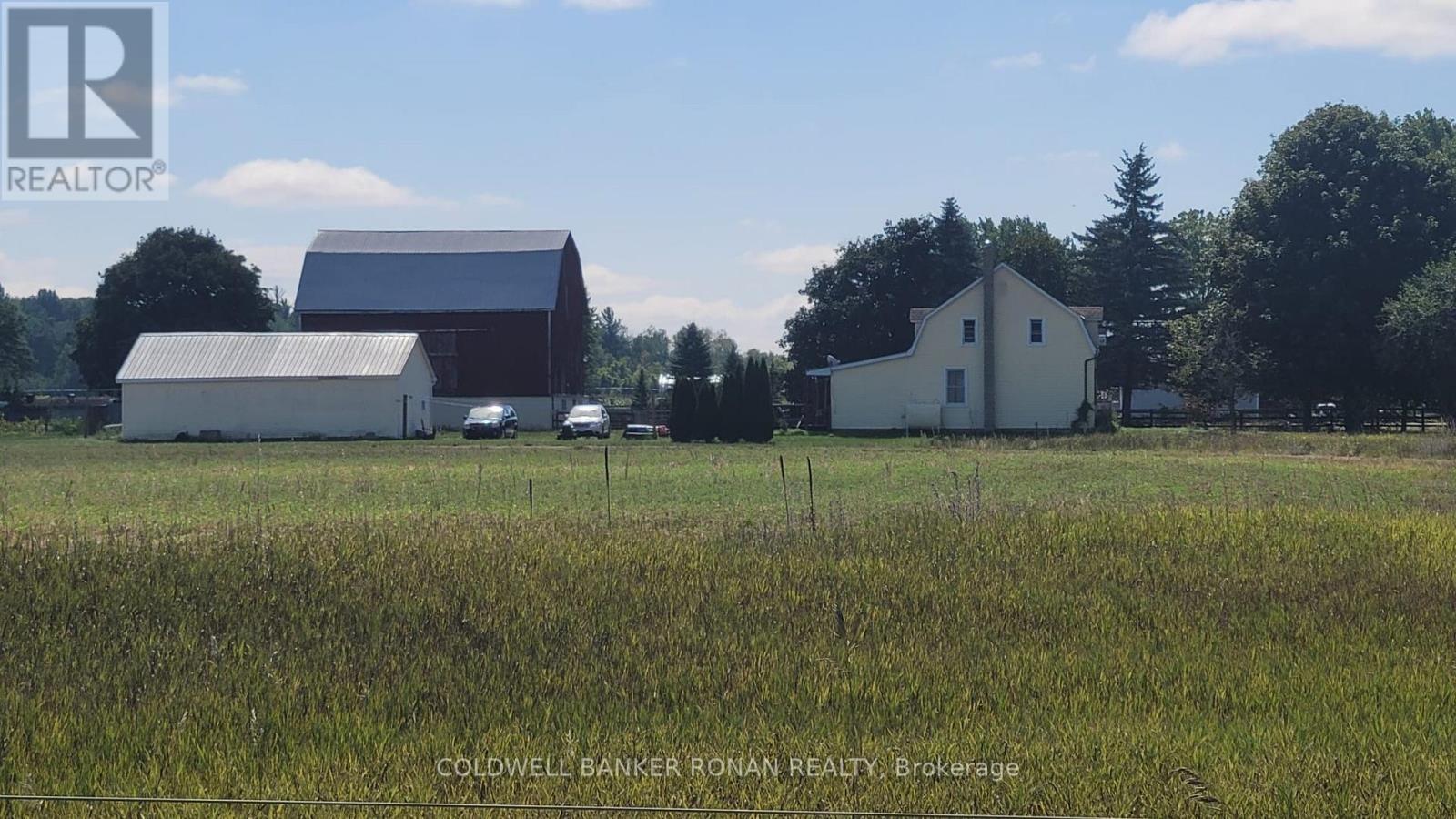 6703 Pine Plains Road E, Adjala-Tosorontio, Ontario  L0M 1J0 - Photo 11 - N13854476