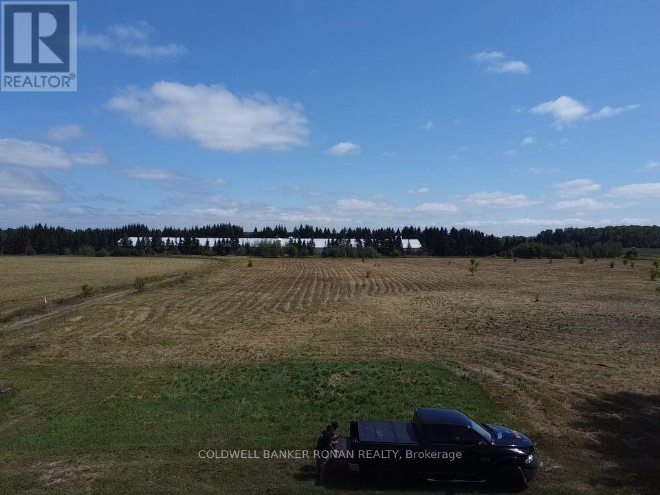 6703 Pine Plains Road E, Adjala-Tosorontio, Ontario  L0M 1J0 - Photo 20 - N13854476