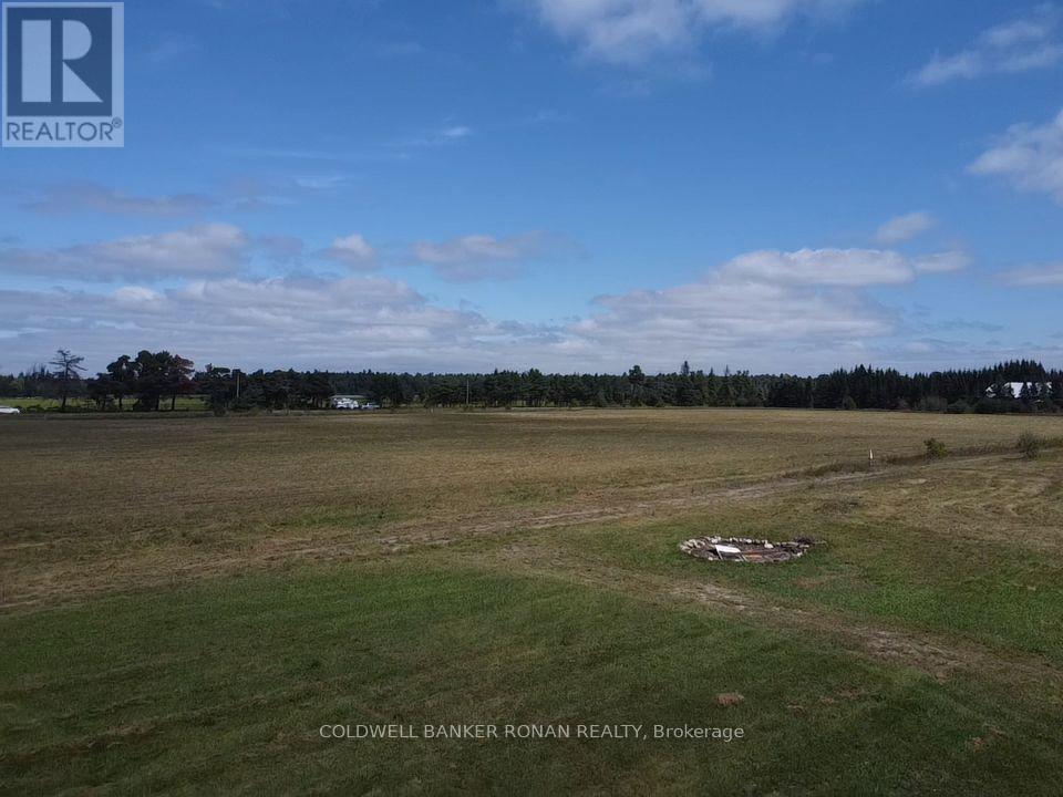 6703 Pine Plains Road E, Adjala-Tosorontio, Ontario  L0M 1J0 - Photo 21 - N13854476