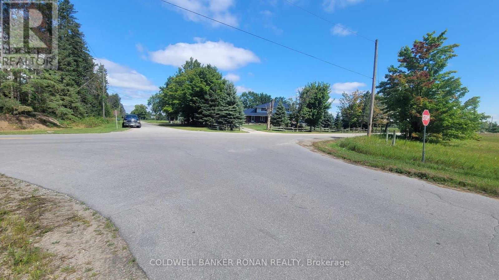 6703 Pine Plains Road E, Adjala-Tosorontio, Ontario  L0M 1J0 - Photo 23 - N13854476