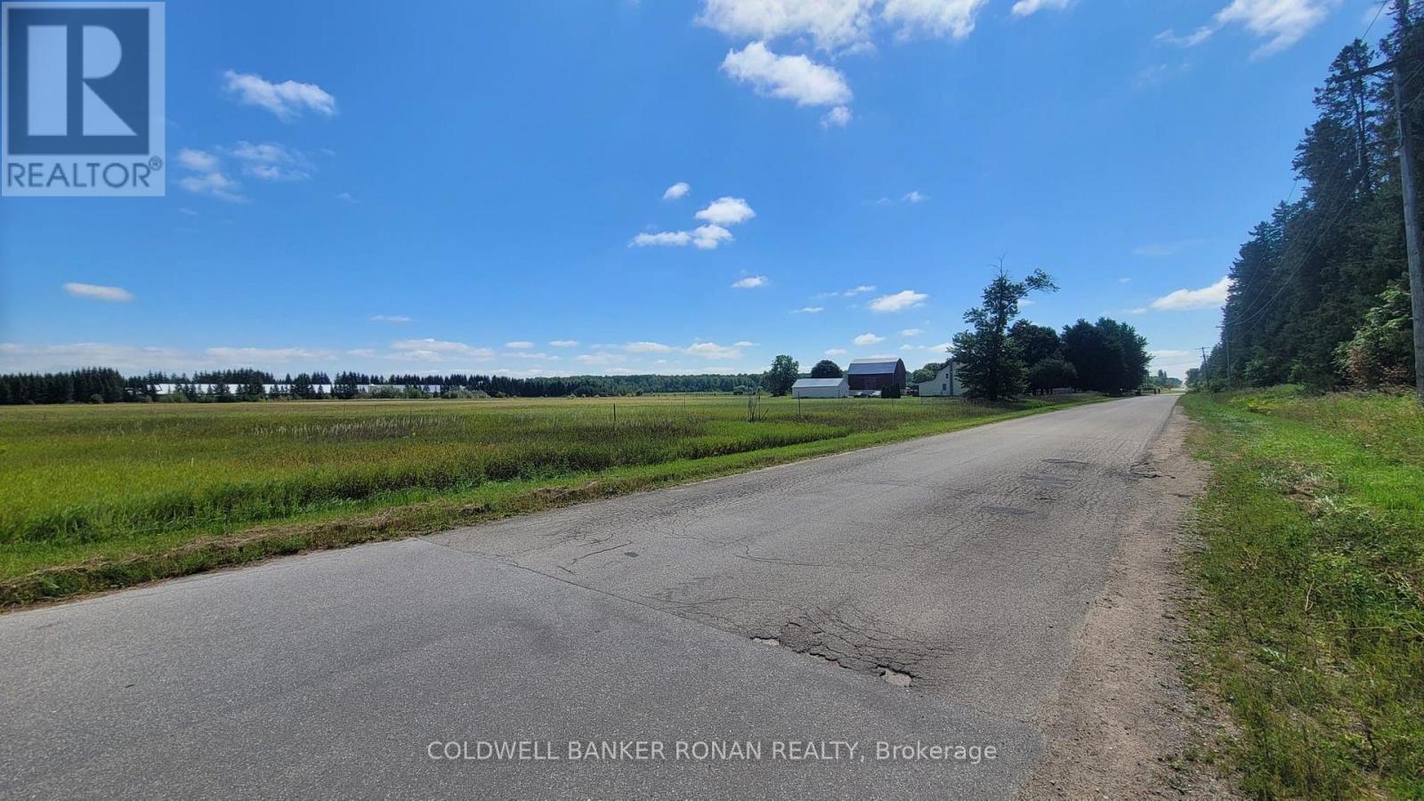 6703 Pine Plains Road E, Adjala-Tosorontio, Ontario  L0M 1J0 - Photo 24 - N13854476