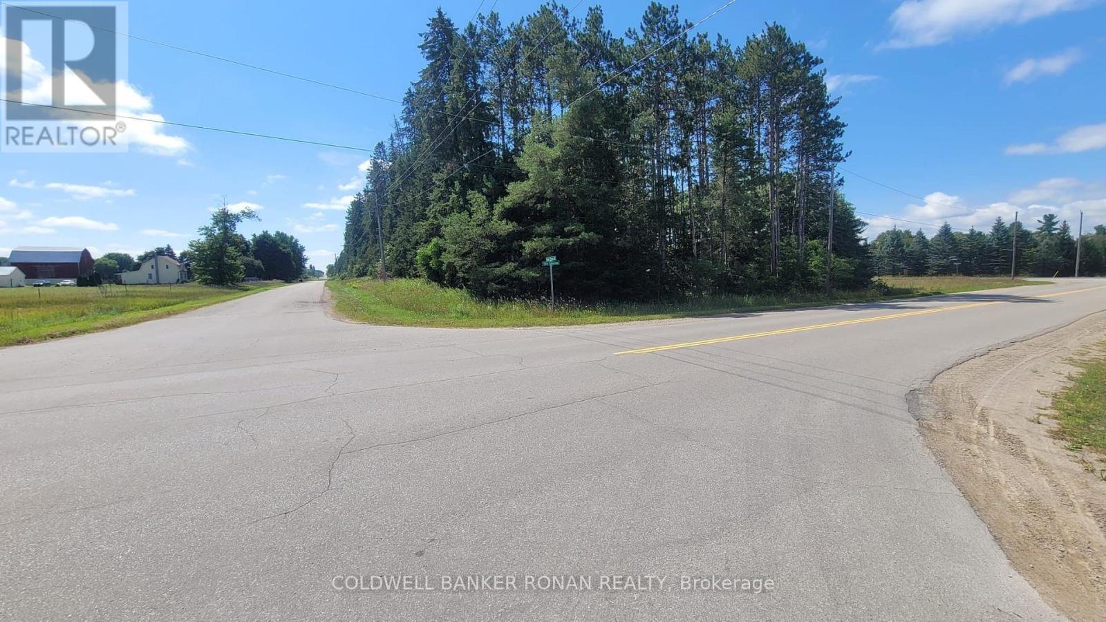 6703 Pine Plains Road E, Adjala-Tosorontio, Ontario  L0M 1J0 - Photo 25 - N13854476