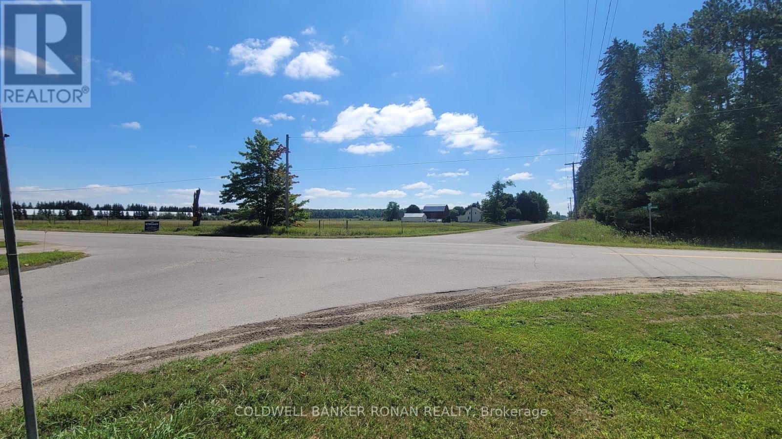 6703 Pine Plains Road E, Adjala-Tosorontio, Ontario  L0M 1J0 - Photo 27 - N13854476