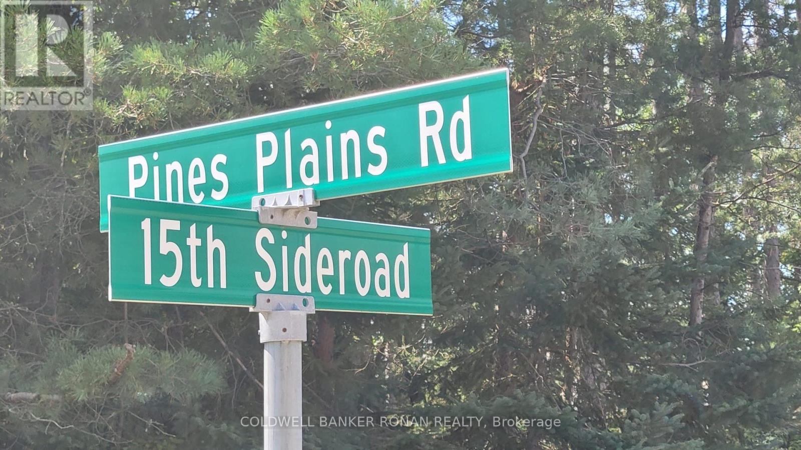 6703 Pine Plains Road E, Adjala-Tosorontio, Ontario  L0M 1J0 - Photo 28 - N13854476