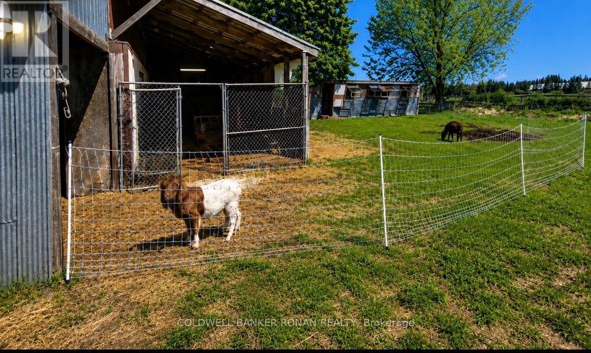 6703 Pine Plains Road E, Adjala-Tosorontio, Ontario  L0M 1J0 - Photo 9 - N13854476