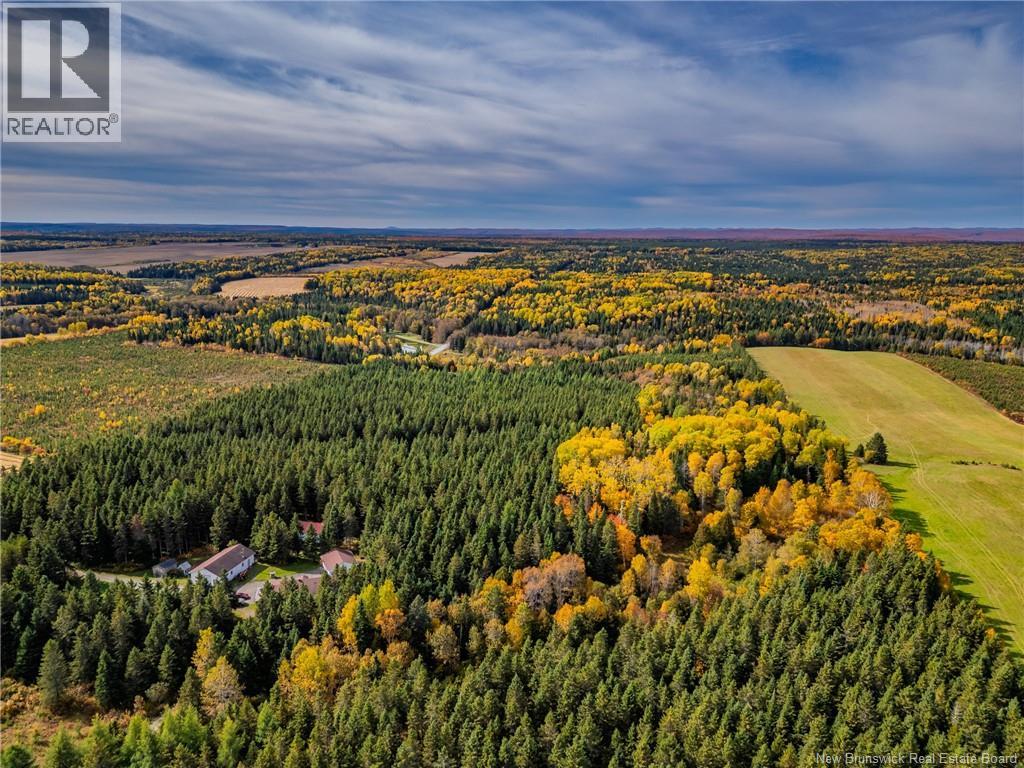 516 Chem Rang 9 Et 10 N, Saint-Quentin, New Brunswick  E8A 2G9 - Photo 6 - NB148745