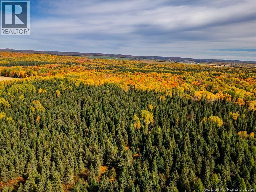 516 Chem Rang 9 Et 10 N, Saint-Quentin, New Brunswick  E8A 2G9 - Photo 7 - NB148745