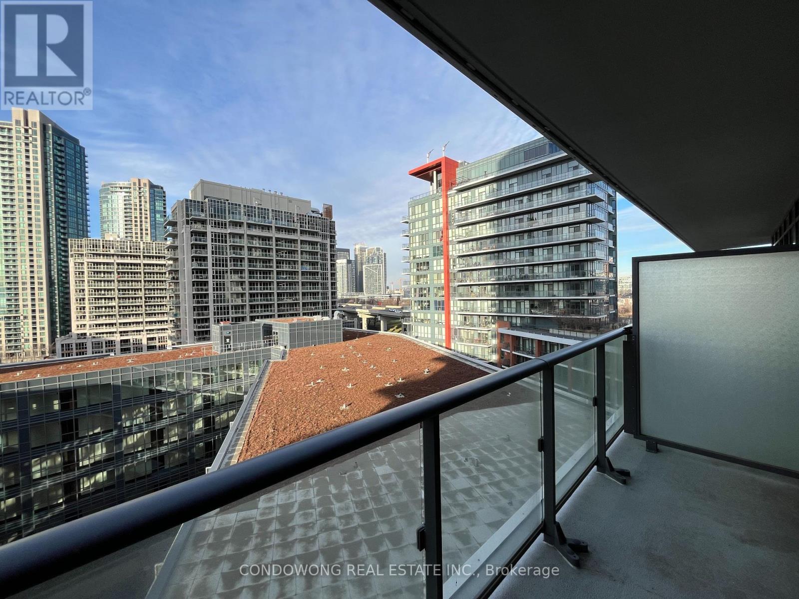 1003 - 38 Iannuzzi Street, Toronto, Ontario  M5V 0S2 - Photo 10 - C13854836
