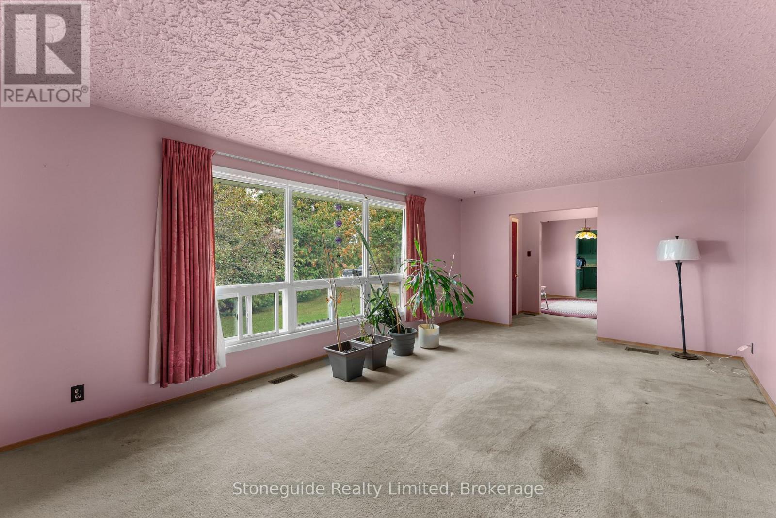 100 Moloney Line, Selwyn, Ontario  K0L 1T0 - Photo 5 - X13817360