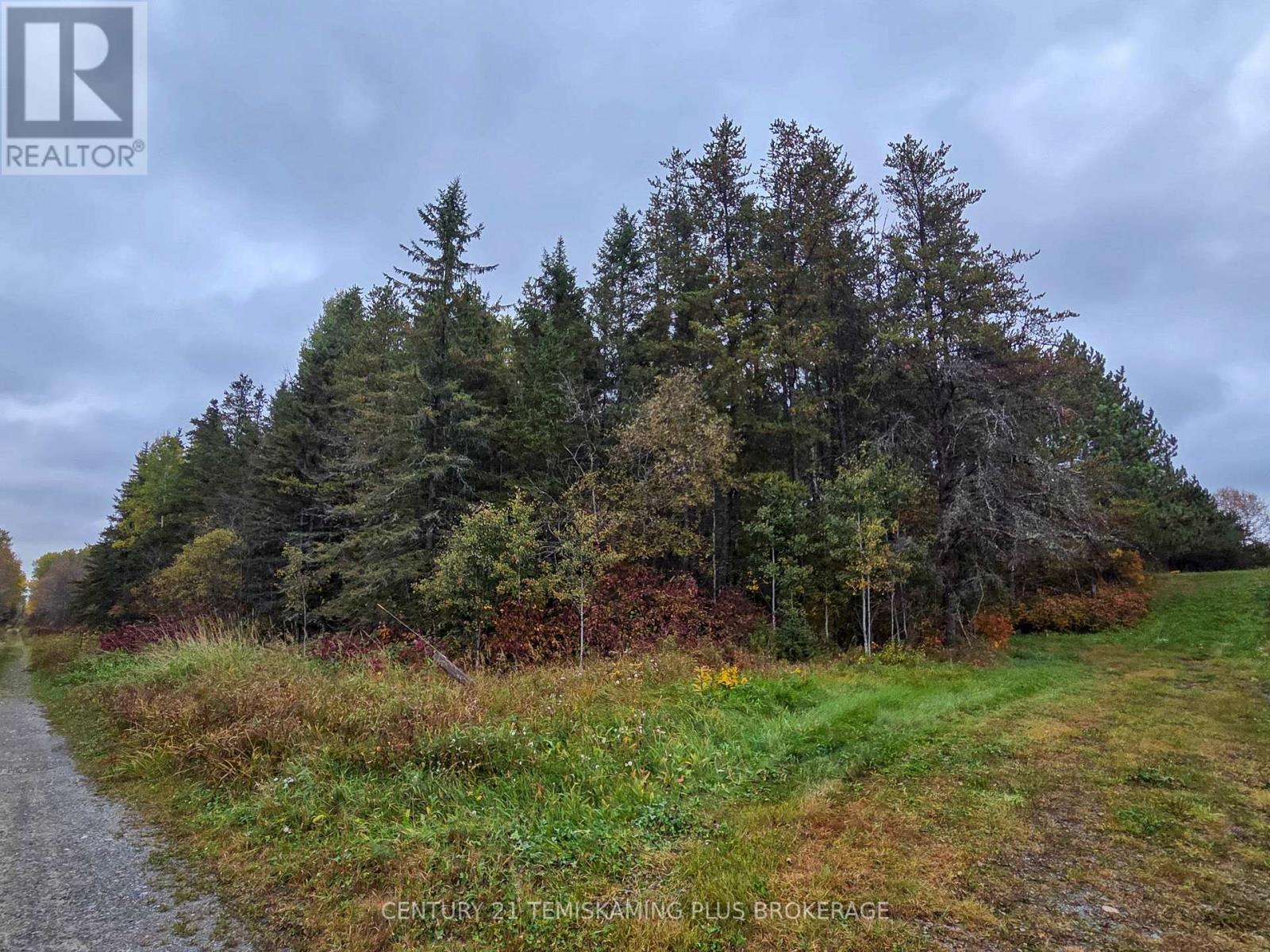 Shalf Lt 6 Con 2 Day Mar Road, Englehart, Ontario  P0J 1H0 - Photo 4 - T13855360