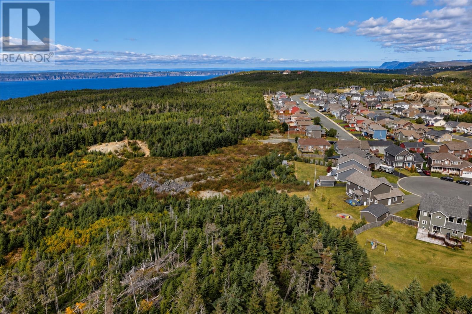 27 Summerwood Place, Portugal Cove-St. Philips — photo 41