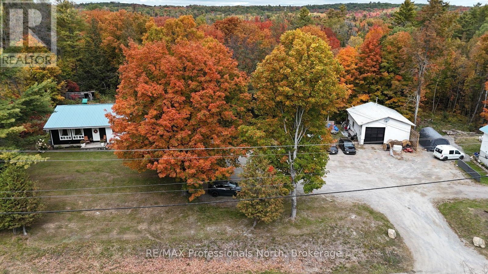 10417 County Road 503, Highlands East, Ontario  K0M 1R0 - Photo 2 - X13855366