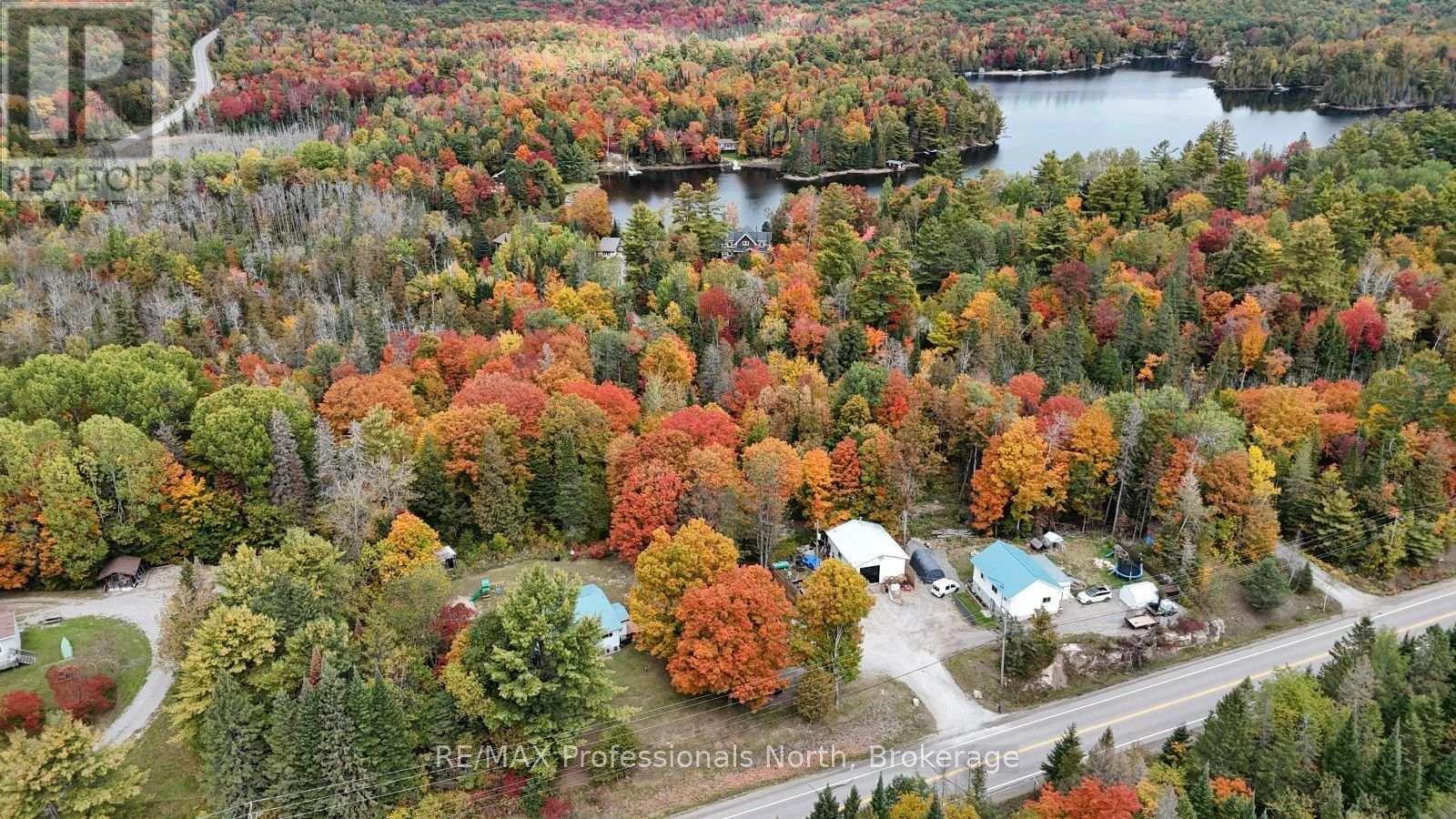 10417 County Road 503, Highlands East, Ontario  K0M 1R0 - Photo 4 - X13855366