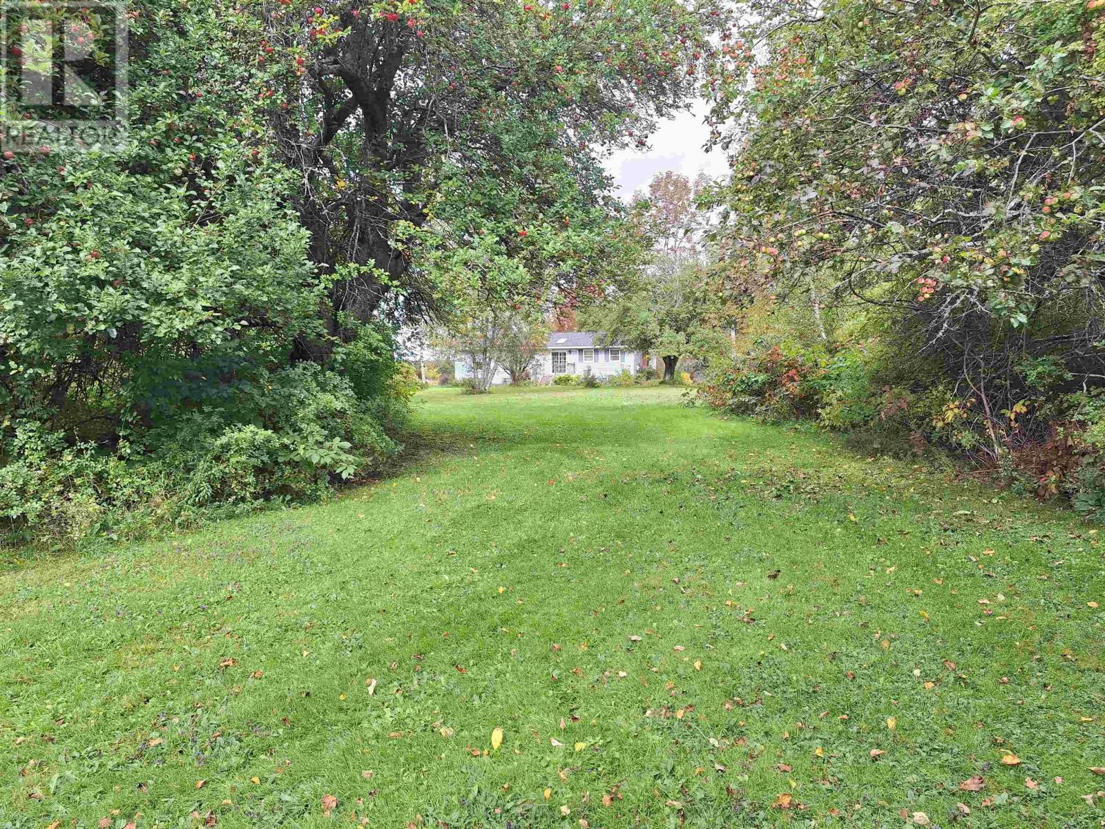 9150 Highway 14, Woodville, Nova Scotia  B0N 2A0 - Photo 19 - 202624889