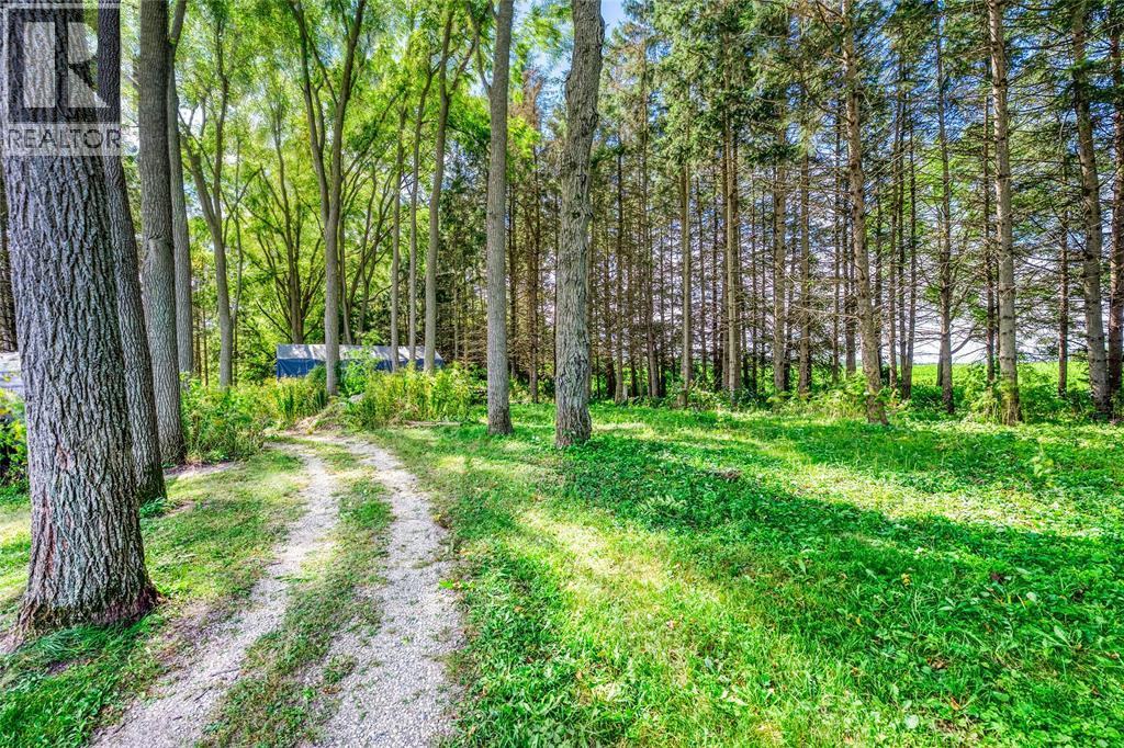 6593 Hickory Creek Line, Warwick-Watford, Ontario  N0N 1J4 - Photo 13 - 26024056