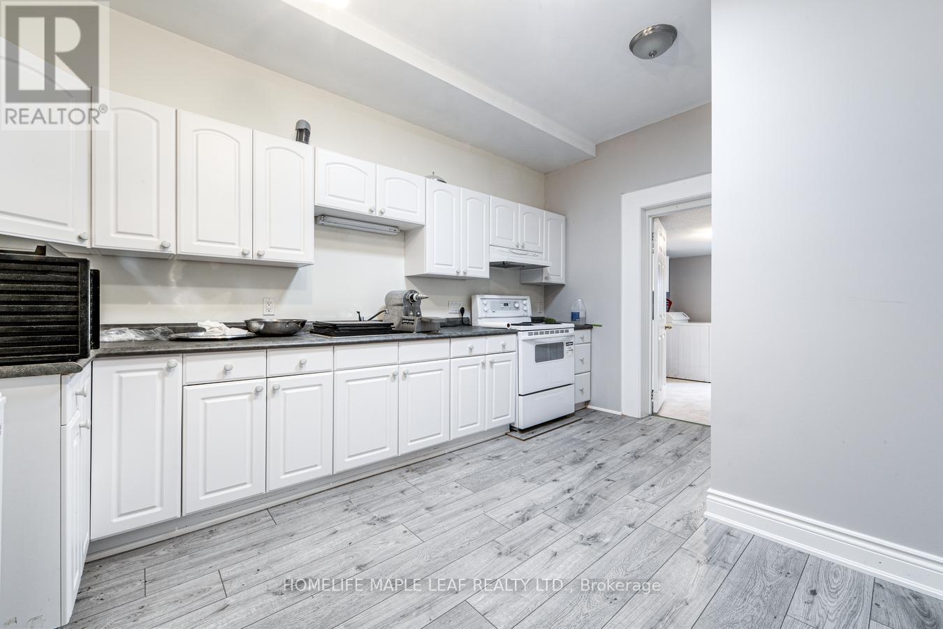 12 Adamson Street N, Halton Hills, Ontario  L0P 0A2 - Photo 40 - W13855870
