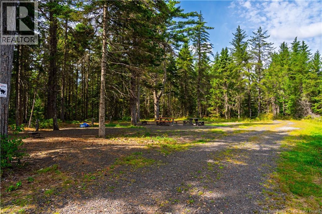 1374 Route 116, Salmon River Rd, New Brunswick  E4A 1N4 - Photo 10 - NB148392