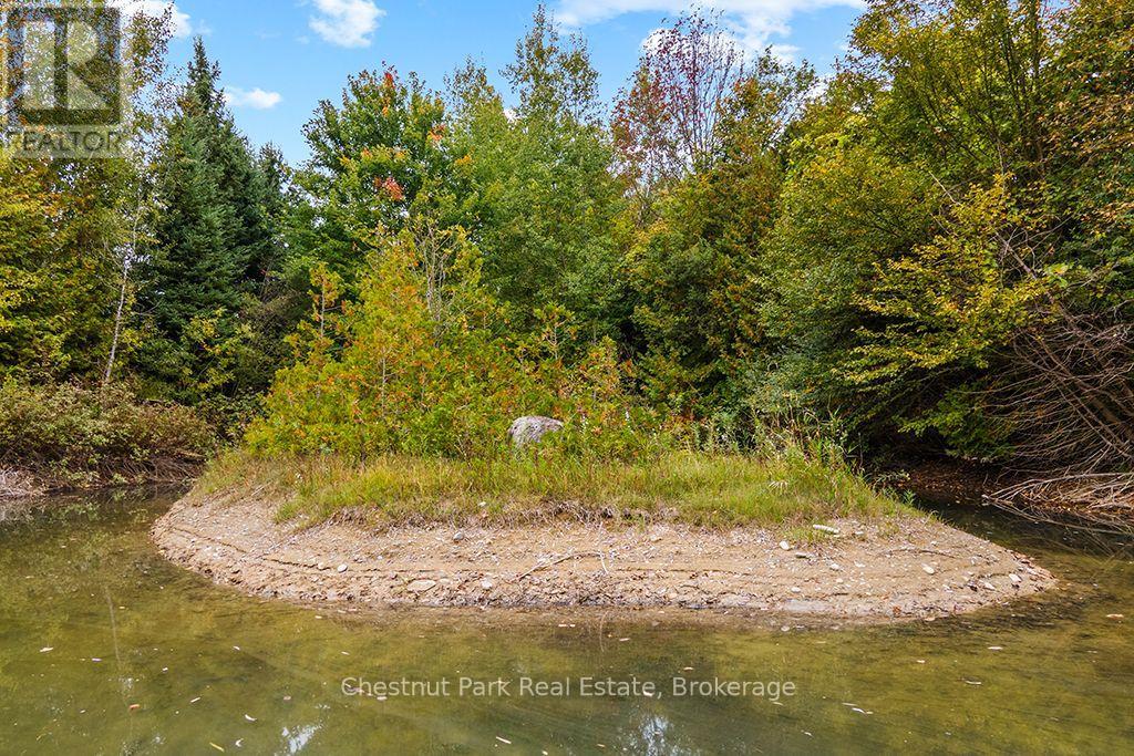 138237 Grey Road 112, Meaford, Ontario  N4L 1W5 - Photo 47 - X13855932
