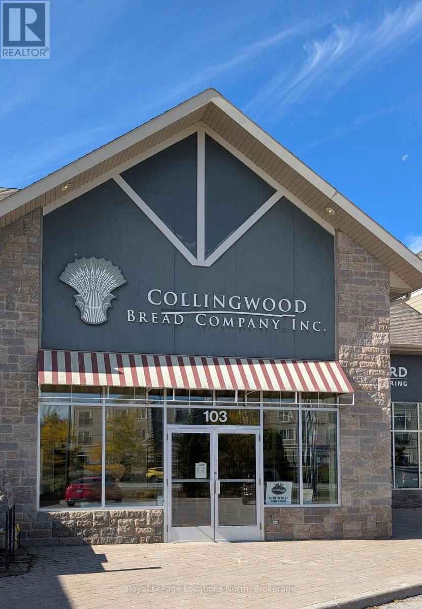 103 - 10 KEITH AVENUE, Collingwood, Ontario