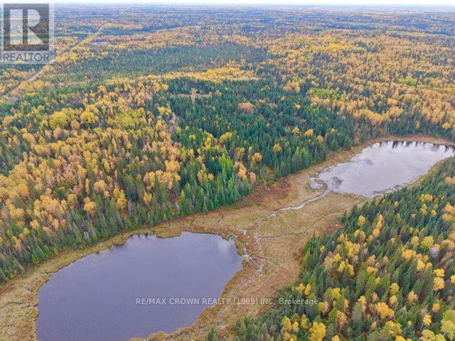 Lt 7 Hanlan Township, Hearst, Ontario  P0L 1N0 - Photo 10 - T13856422