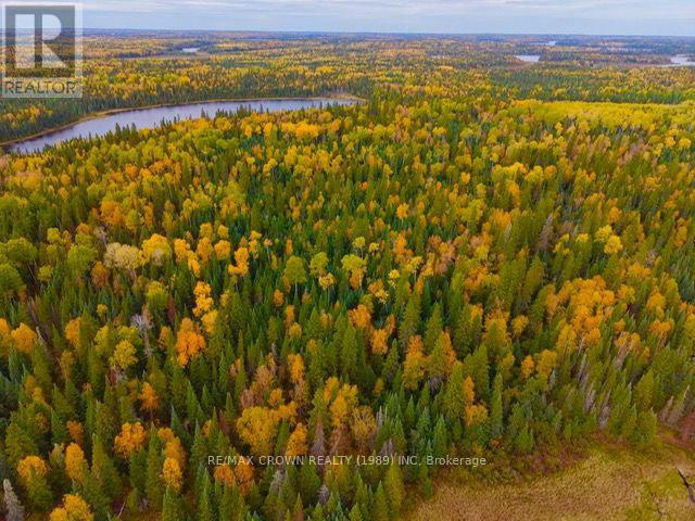 Lt 7 Hanlan Township, Hearst, Ontario  P0L 1N0 - Photo 5 - T13856422