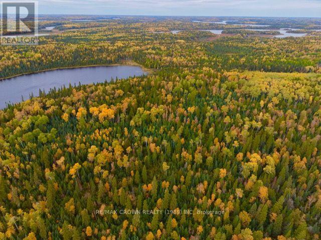 Lt 7 Hanlan Township, Hearst, Ontario  P0L 1N0 - Photo 6 - T13856422