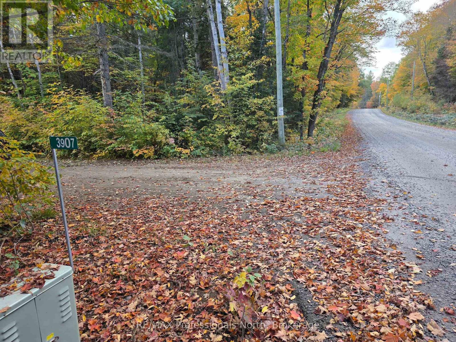 3907 Stisted Road, Mcmurrich/monteith, Ontario  P0A 1Y0 - Photo 1 - X13856338