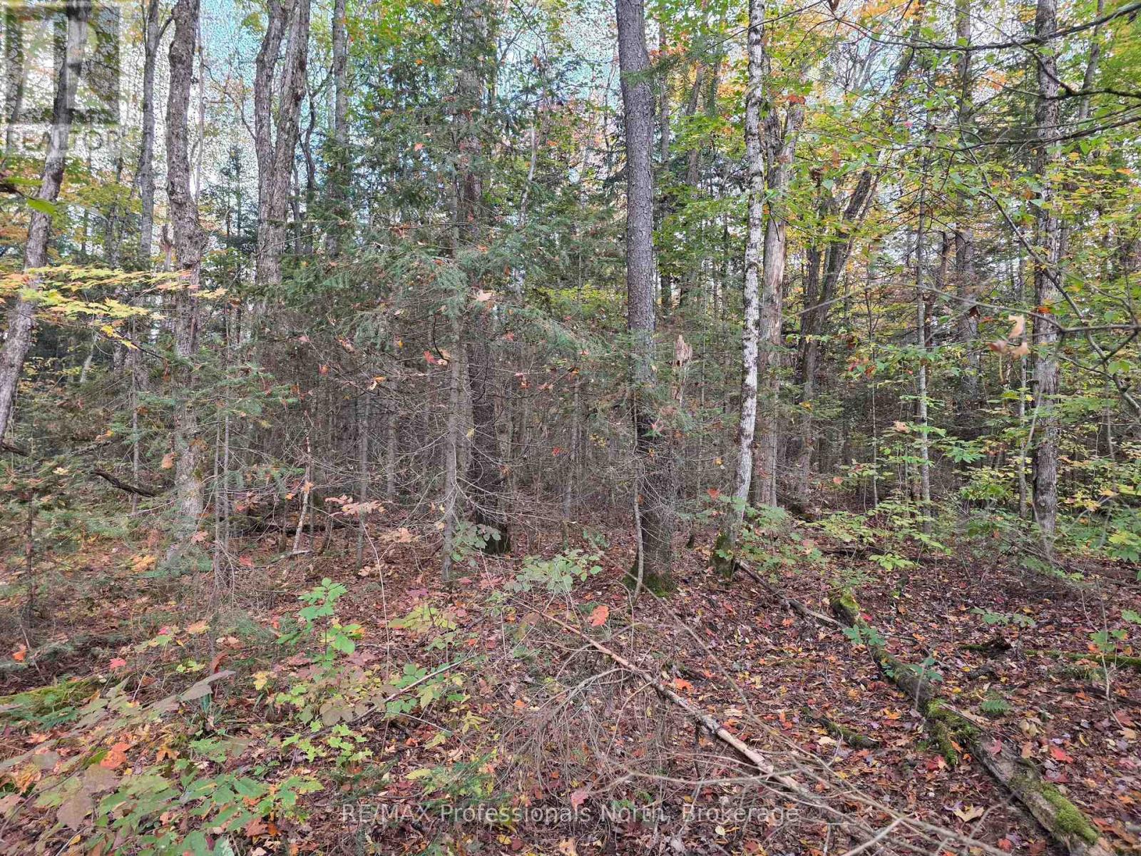 3907 Stisted Road, Mcmurrich/monteith, Ontario  P0A 1Y0 - Photo 10 - X13856338