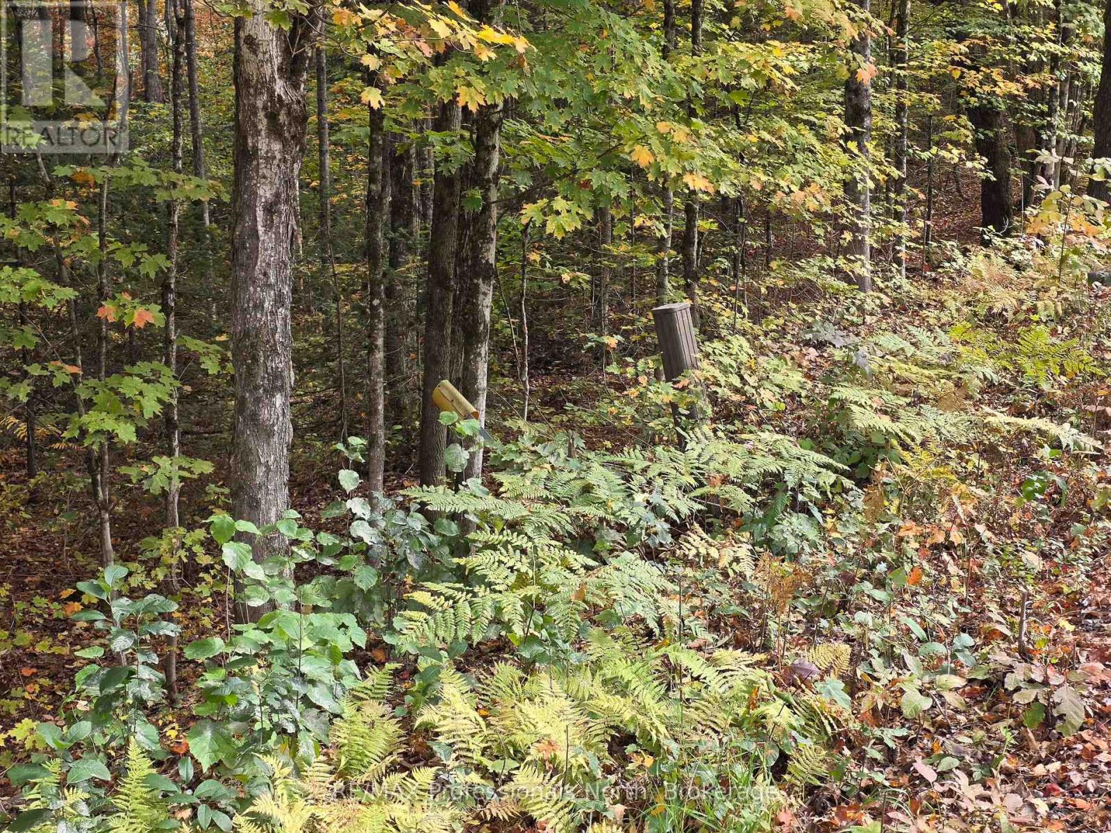 3907 Stisted Road, Mcmurrich/monteith, Ontario  P0A 1Y0 - Photo 11 - X13856338