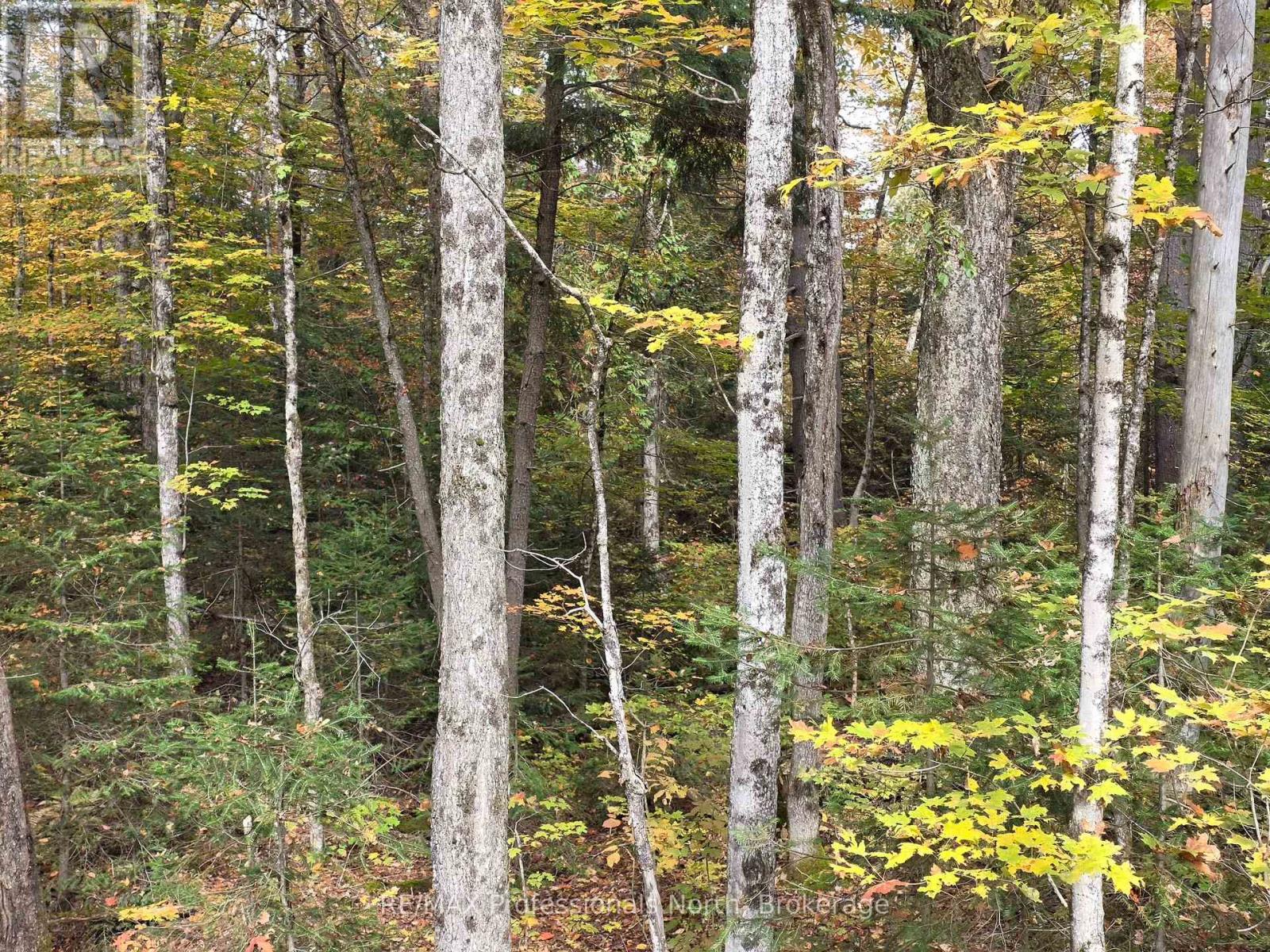 3907 Stisted Road, Mcmurrich/monteith, Ontario  P0A 1Y0 - Photo 12 - X13856338