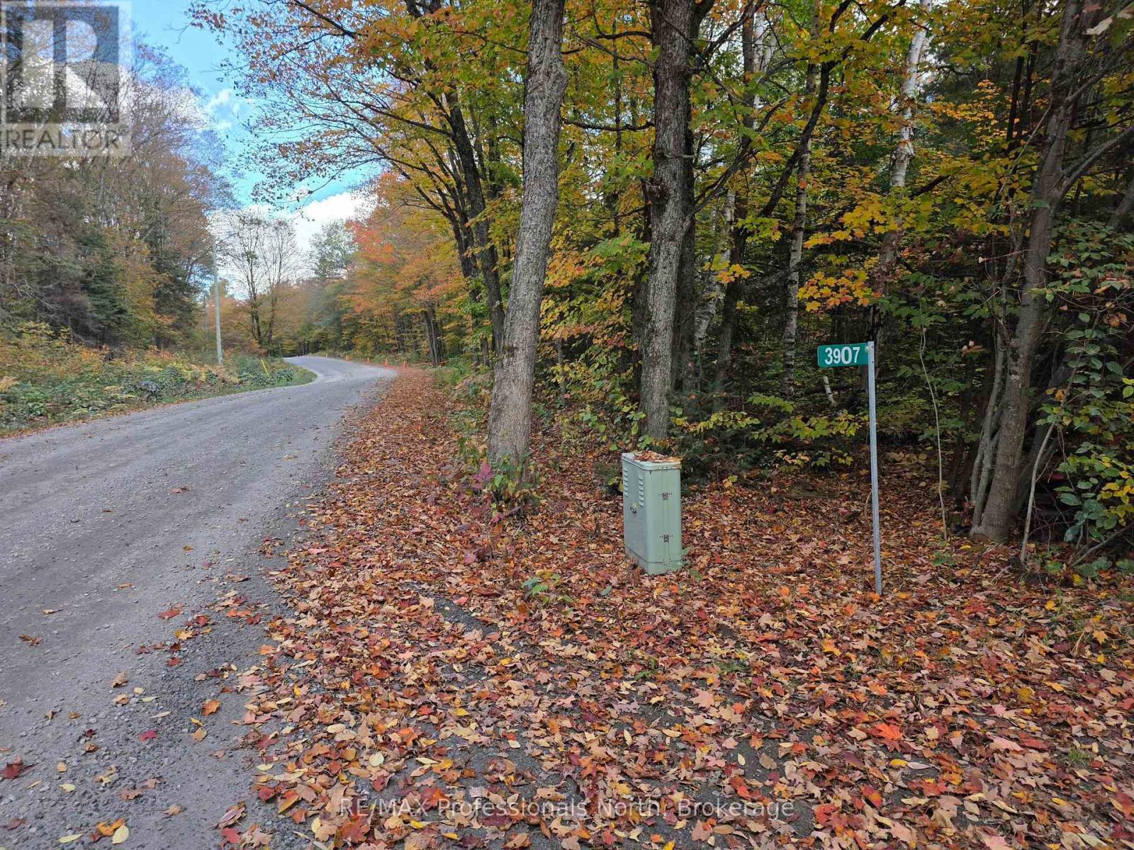 3907 Stisted Road, Mcmurrich/monteith, Ontario  P0A 1Y0 - Photo 2 - X13856338